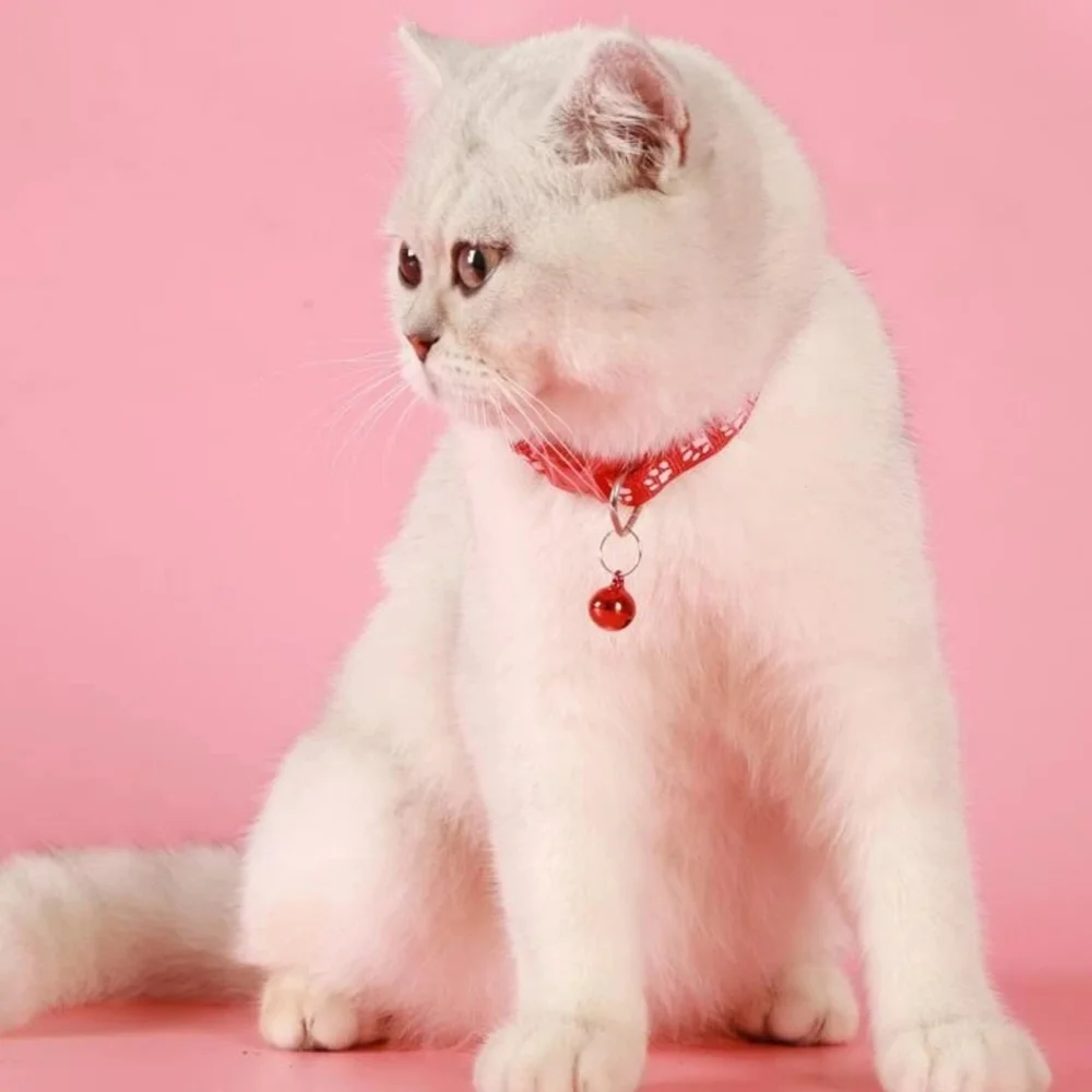 Color Bell Decor Pet Collar